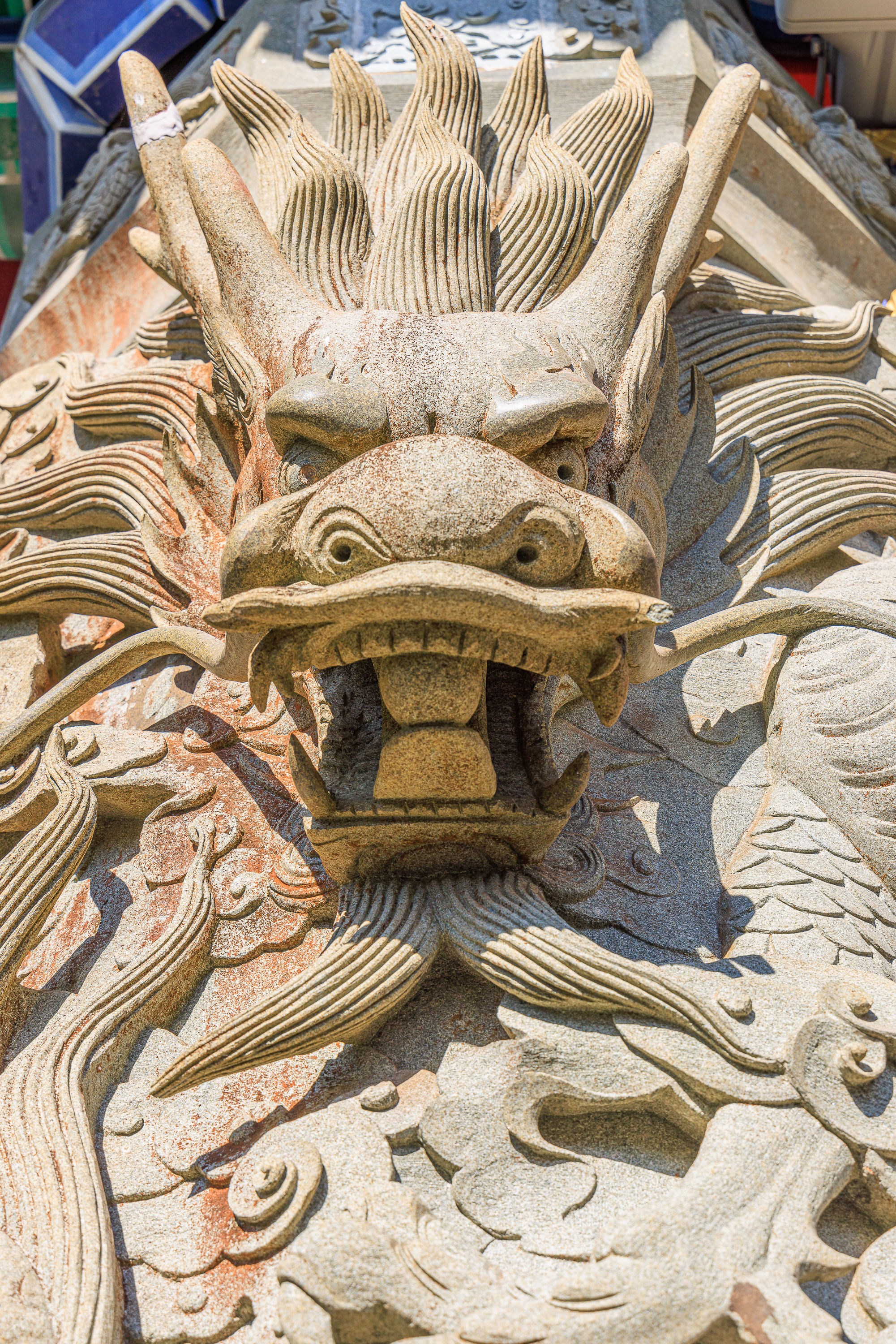 Drache